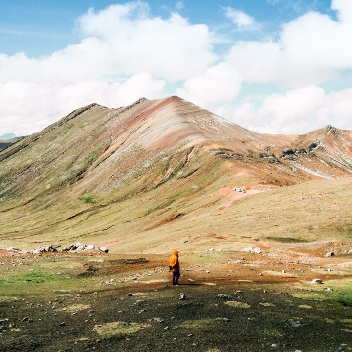 Grüne Landschaft mit einem Mensch mittendrin