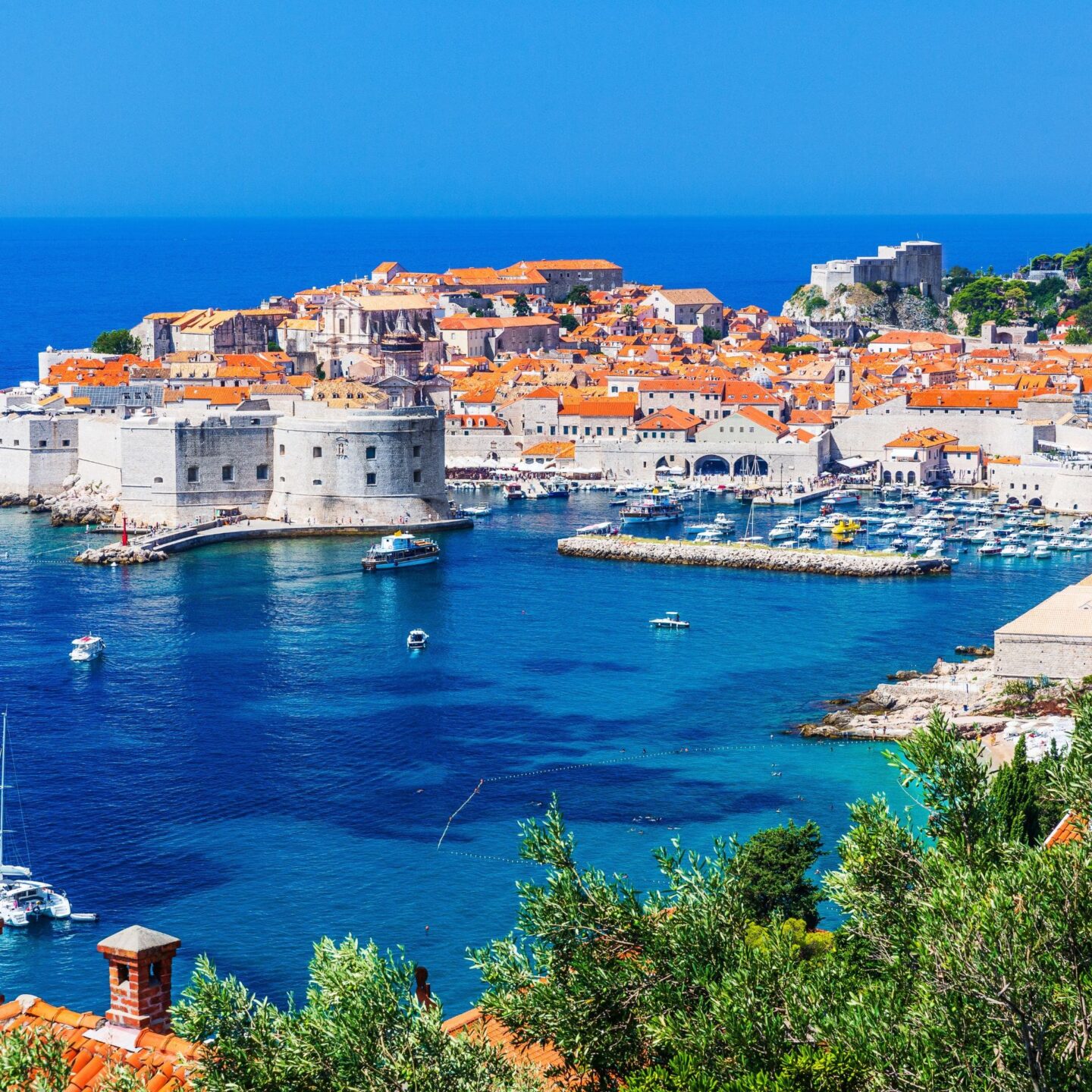 Wunderbar Fhre Italien Kroatien Fotos