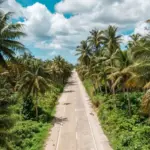 Eine Straße im Dschungel als Symbol für Auswandern auf die Philippinen
