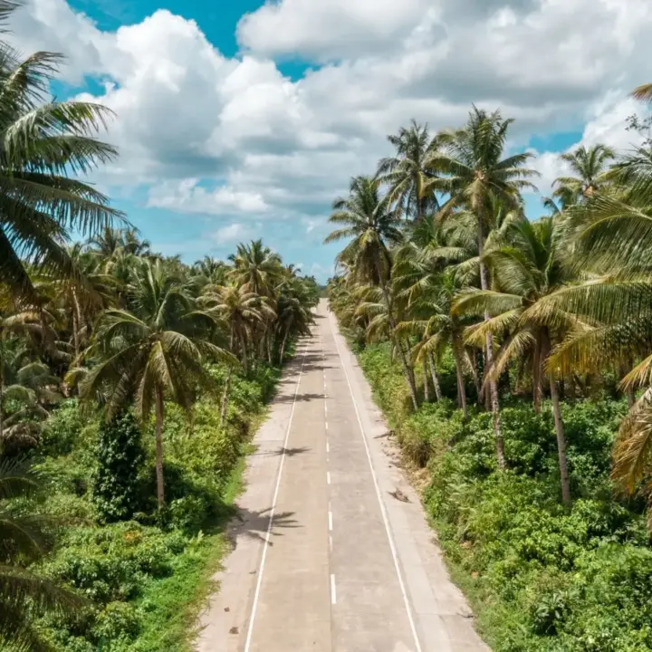 Eine Straße im Dschungel als Symbol für Auswandern auf die Philippinen