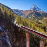 Eine Brücke in der Natur als Symbol für Krankenversicherung in der Schweiz