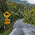 Eine Straße als Symbol für Leben in Neuseeland