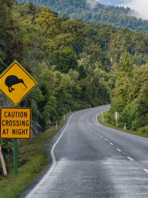 Eine Straße als Symbol für Leben in Neuseeland