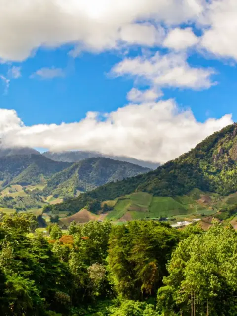 Naturlandschaft als Symbol für Steuern in Panama