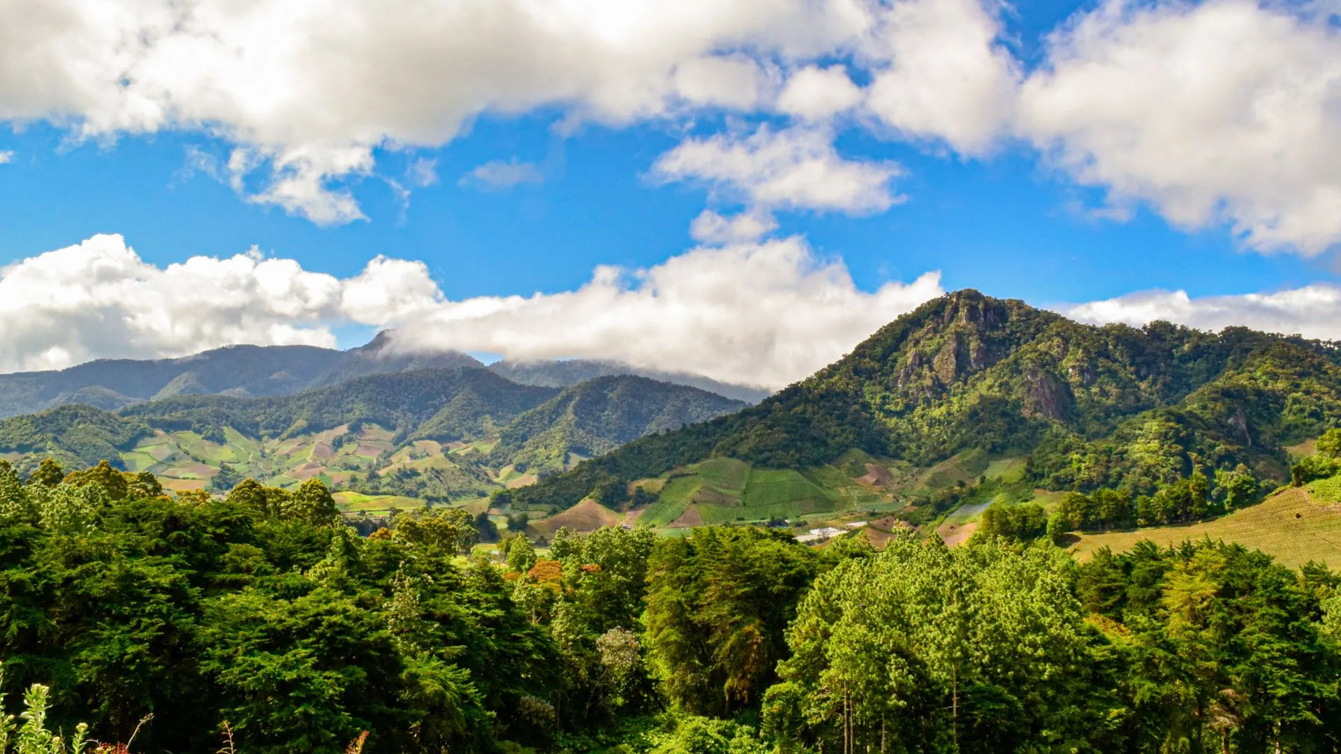 Naturlandschaft als Symbol für Steuern in Panama