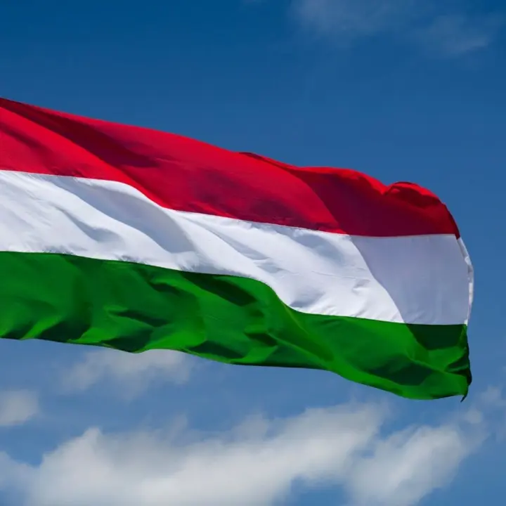Eine Flagge als Symbol für Visum für Ungarn