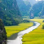 Eine grüne Landschafft als Symbol für Visum für Vietnam