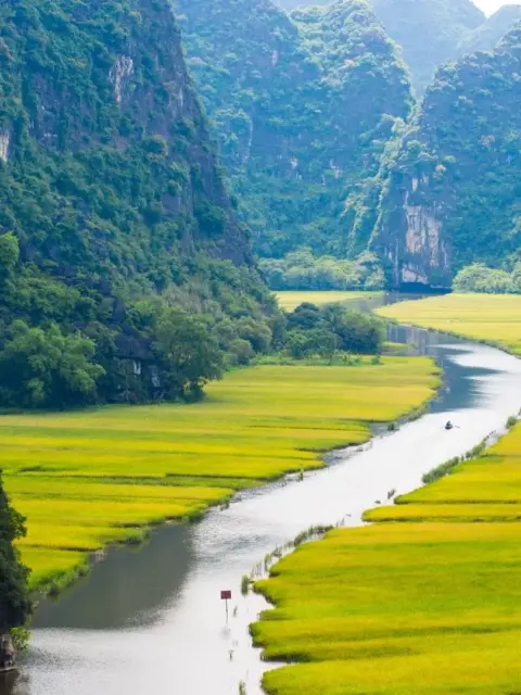 Eine grüne Landschafft als Symbol für Visum für Vietnam