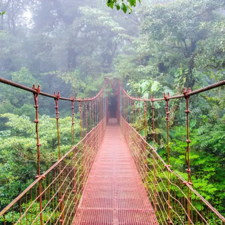 Eine Brücke als Symbol für Visum für Costa Rica